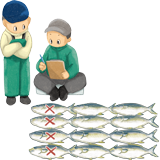 湖の魚の数え方：イラスト